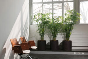 Craft CL Vase D1